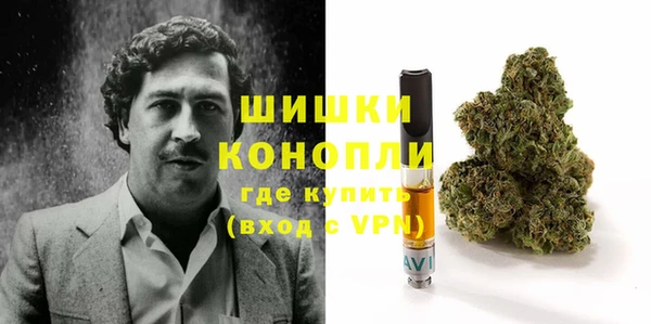 индика Абаза